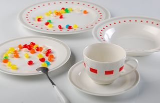 陶瓷餐具品牌大揭秘 吸水率超低的优质之选